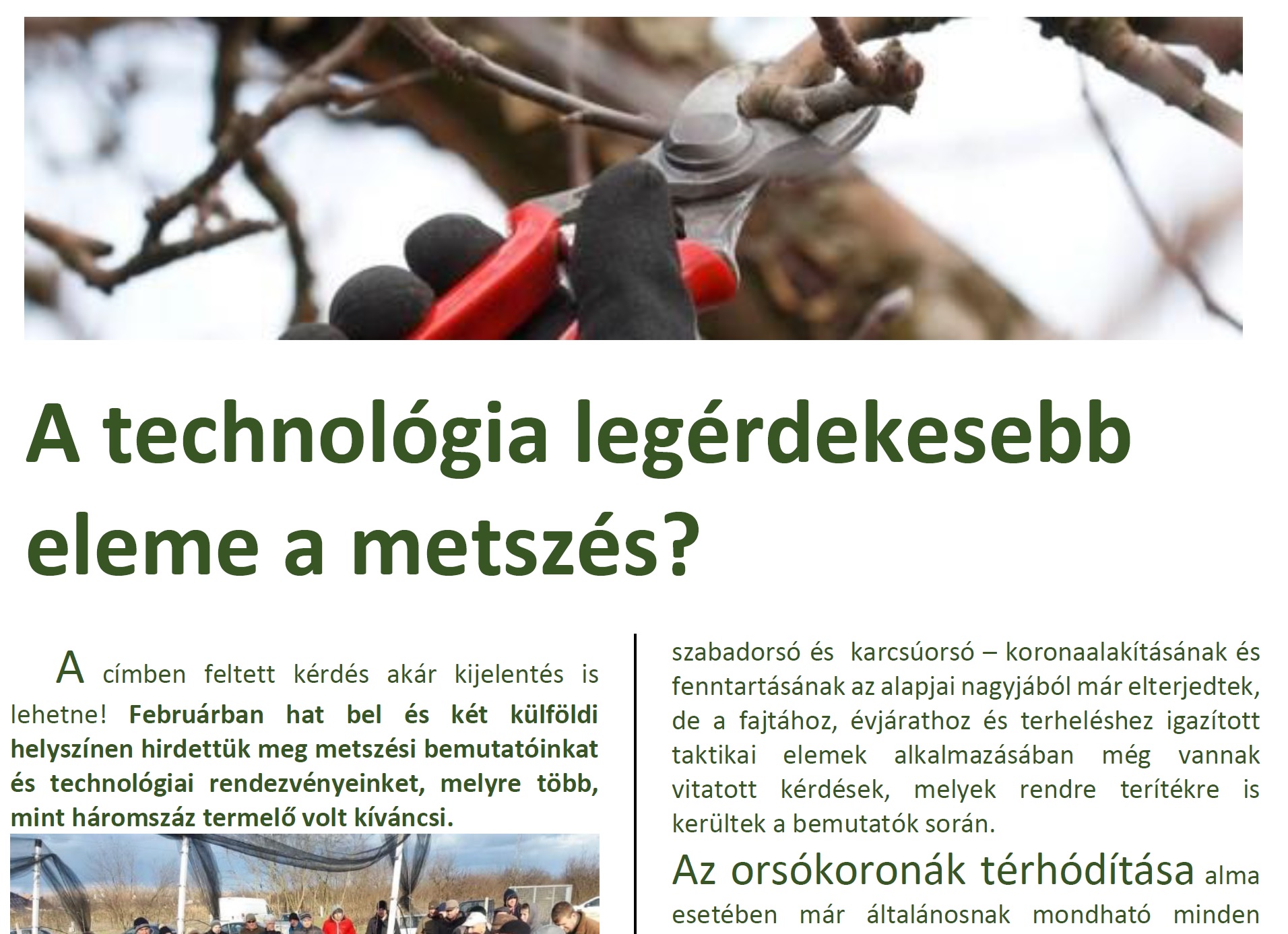 Metszési eljárások - Technológiai és metszési bemutatóink összefoglalója